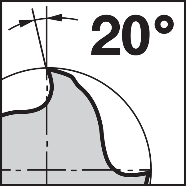 Pikto Rückspanwinkel: 20